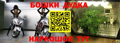 ГАЛЛЮЦИНОГЕННЫЕ ГРИБЫ Малгобек