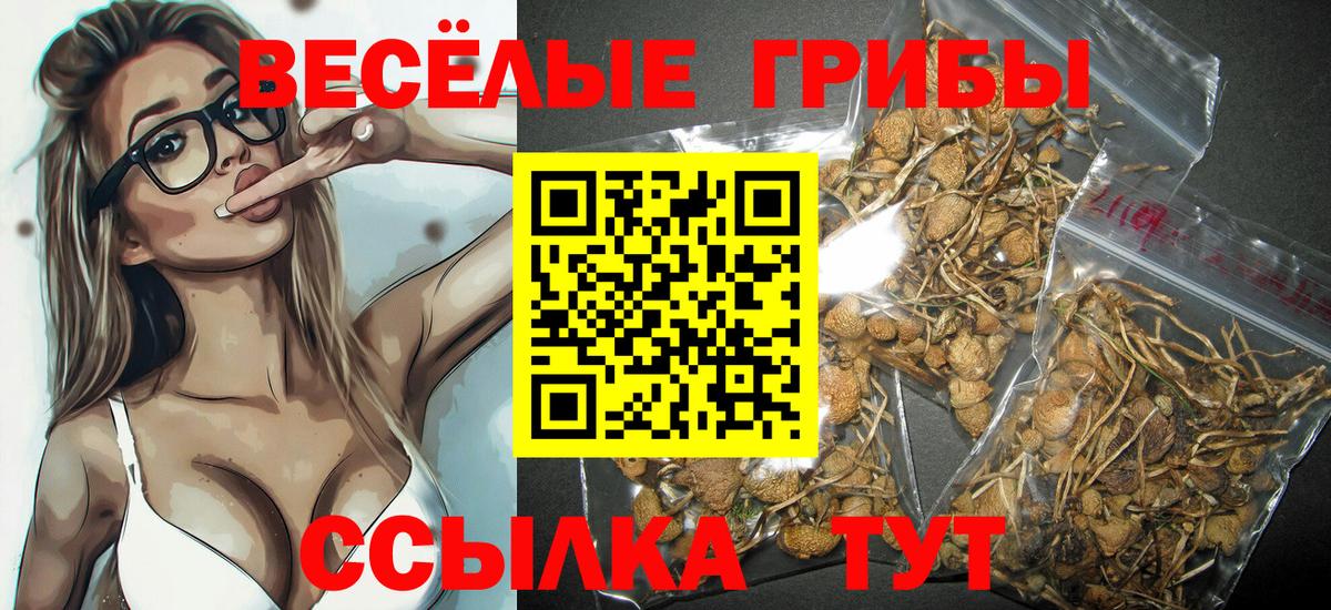 Галлюциногенные грибы мицелий Менделеевск